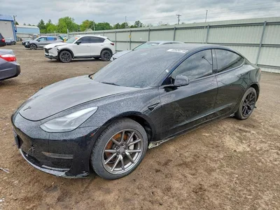 2023 TESLA 3, фото 1, лот 11150517