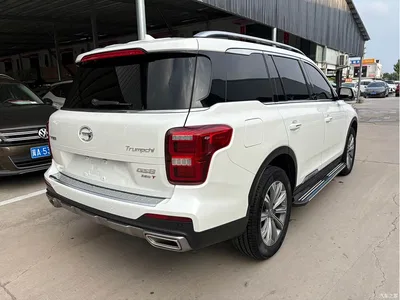2021 GAC Trumpchi Trumpchi GS8 390T 2WD Dark Night Knight Edition, фото 3, лот 10417612