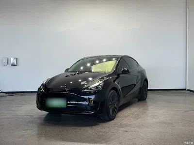 2022 Tesla Model Y Rear-Wheel Drive Version, фото 3, лот 11017763