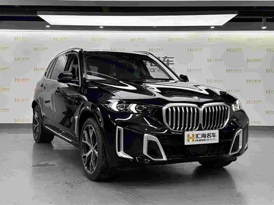 2023 BMW X5 xDrive 30Li Premium M Sport Package, фото 3, лот 10386973