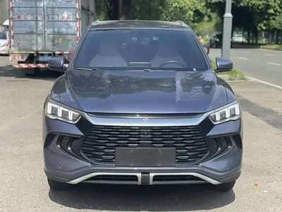2024 BYD Song Pro New Energy Glory Edition DM-i 71KM Pilot, фото 3, лот 10292340