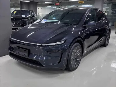 2025 Tesla Model Y L, фото 1, лот 11412569