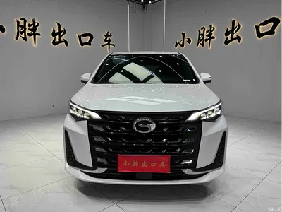 2021 GAC Trumpchi Trumpchi M6 PRO 270T DCT Premium, фото 2, лот 10416413