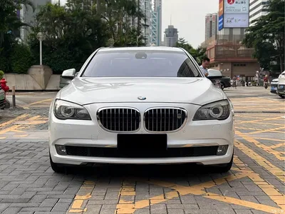 2010 BMW 7 Series 4.4T Hybrid, фото 2, лот 10458461