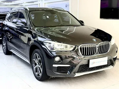 2019 BMW X1 xDrive20Li Premium Model, фото 3, лот 10464954
