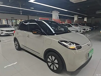 2024 Wuling Motors Wuling Bingo 333km Comfort Edition, фото 4, лот 10372124
