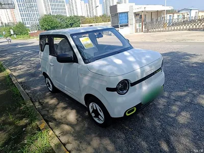 2025 Geely Galaxy Panda mini 210km Vitality Bear, фото 4, лот 10433402