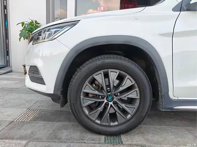 2019 BYD Song New Energy Song DM 1.5TID Smart Connection Premium Type, фото 4, лот 11408627