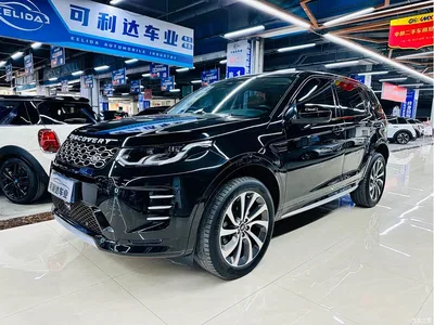 2024 Land Rover Discovery Sport Performance Technology Edition, фото 1, лот 10336724