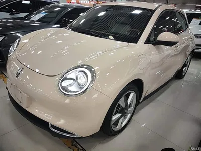 2023 Ora Good Cat 401km Standard Range Honor Edition (LFP), фото 1, лот 10330498