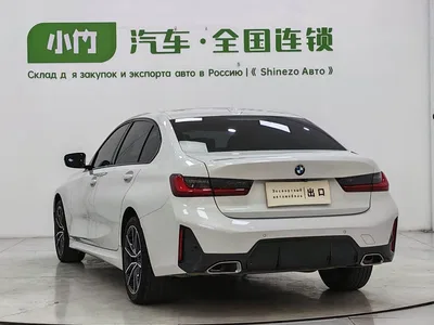 2023 BMW 3 Series 320Li M Sport Package, фото 4, лот 11225842