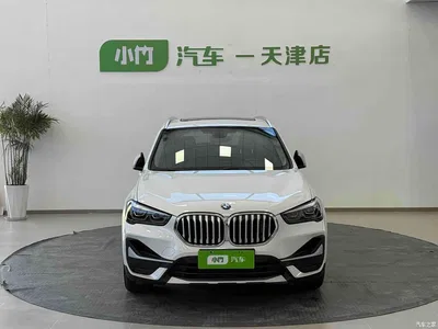 2022 BMW X1 sDrive20Li Premium, фото 2, лот 10442519