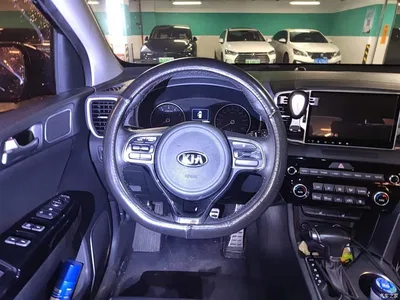 2016 Kia KX5 Model 1.6T Automatic 2WD DLX, фото 3, лот 10338451