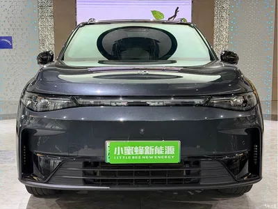 2024 Leapmotor C16 Pure Electric 520 Premium Edition, фото 2, лот 10315919
