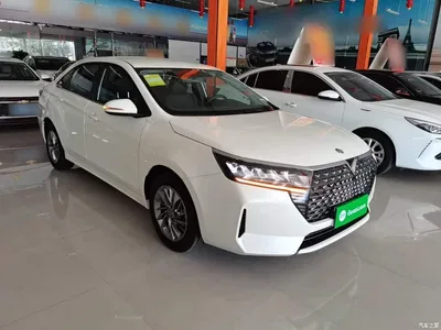 2023 Venucia D60 PLUS 1.6L XE CVT Trend Leader Edition, фото 4, лот 11153601