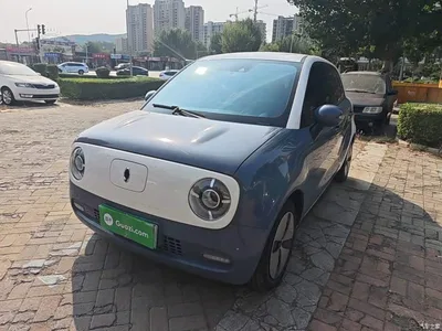 2021 Ora Black Cat 351km Luxury Model, фото 1, лот 11188024