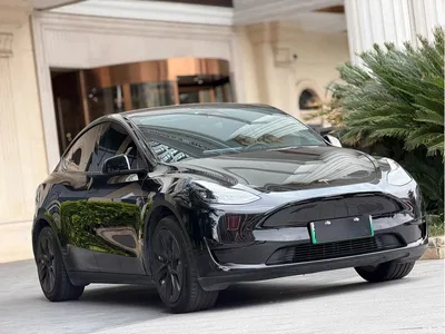 2021 Tesla Model Y Standard Range Rear-Wheel Drive, фото 3, лот 11247864
