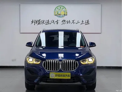 2020 BMW X1 sDrive20Li Fashion Model, фото 2, лот 10239030