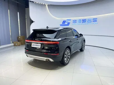 2022 Lincoln Adventurer Facelift 2.0T 2WD Zunya Edition, фото 4, лот 11139482