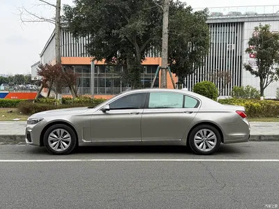 2009 BMW 7 Series 730Li Luxury, фото 3, лот 10458651