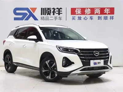 2022 GAC Trumpchi Trumpchi GS4 270T Auto Tech Edition, фото 3, лот 10414543
