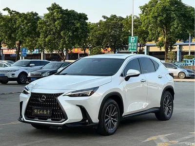 2023 Lexus NX 350h FWD Joy Creation Edition, фото 1, лот 10312459