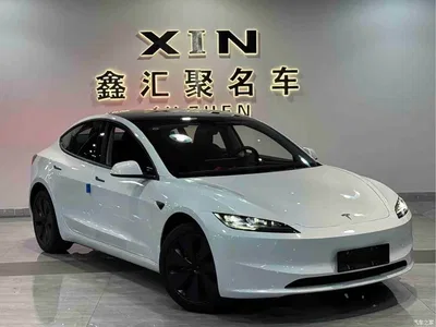 2025 Tesla Model 3 Model Rear-Wheel Drive Edition, фото 3, лот 11548490