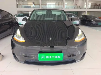 2022 Tesla Model Y Rear-Wheel Drive Version, фото 3, лот 10387487