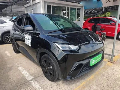 2023 BYD Seagull Freedom Edition, фото 4, лот 10666489