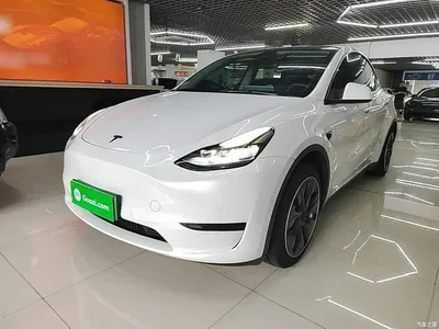 2022 Tesla Model Y Rear-Wheel Drive Version, фото 1, лот 10890522