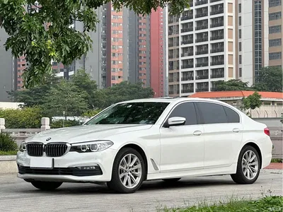 2018 BMW 5 Series 528Li Launch Special Edition, фото 1, лот 10450284