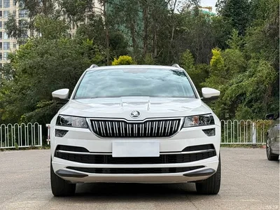 2022 Škoda Karoq TSI280 Luxury, фото 2, лот 10816603