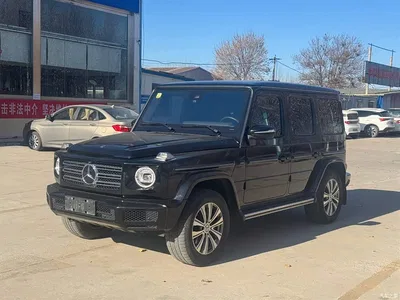 2020 Mercedes-Benz G-Class G 350, фото 1, лот 10280584