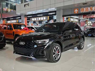 2023 Audi Q5L 40T Luxury Dynamic, фото 1, лот 10236105