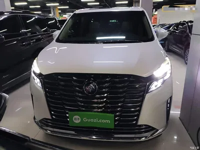 2023 Buick GL8 ES Landmaster Exclusive, фото 3, лот 10262106