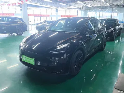 2022 Tesla Model Y Facelift Rear-Wheel Drive Version, фото 1, лот 10369762