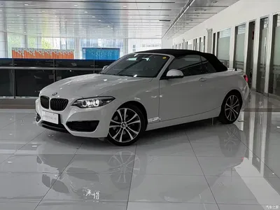2019 BMW 2 Series (Import) 225i Convertible Coupe Sport Design Package, фото 1, лот 10410548