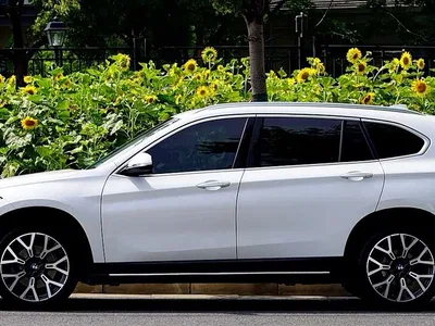2020 BMW X1 xDrive25Li Premium Edition, фото 2, лот 10391847
