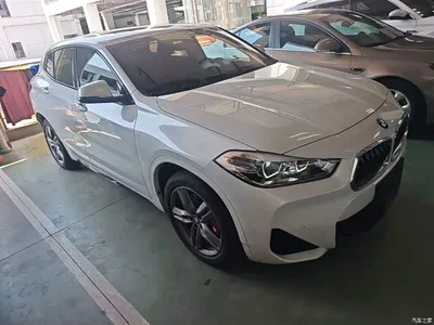 2021 BMW X2 Facelift sDrive25i M Sport Package, фото 4, лот 10475516