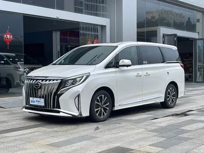 2021 GAC Trumpchi Trumpchi M8 Facelift Leading Series 390T Luxury Edition, фото 1, лот 11226470