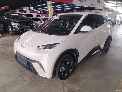 2024 BYD Seagull Glory Edition 305km Freedom Edition, фото 2, лот 10260345