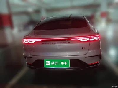 2024 BYD Han DM-i Glory Edition 121KM Honor, фото 3, лот 10621275