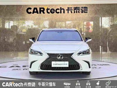2020 Lexus ES 200 Excellence, фото 2, лот 10314800
