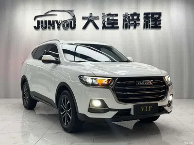2023 Haval H6 National Trend Edition 1.5T Automatic Urban, фото 3, лот 10282240