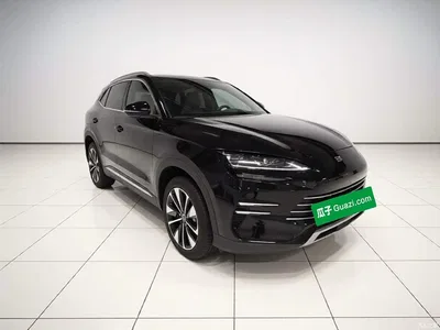 2025 BYD Song PLUS PHEV DM-i 112KM Premium, фото 3, лот 11501929
