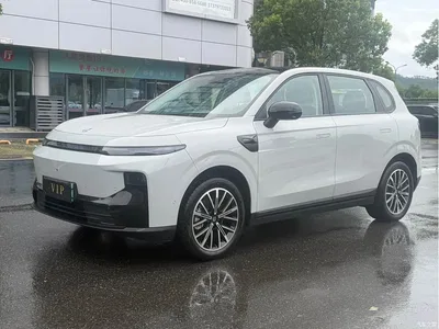 2025 Leapmotor B10 510 Joy Edition, фото 1, лот 10317571