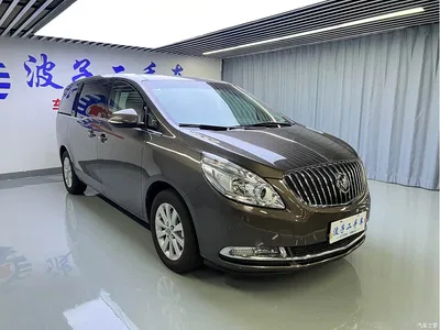 2013 Buick GL8, фото 3, лот 10245751