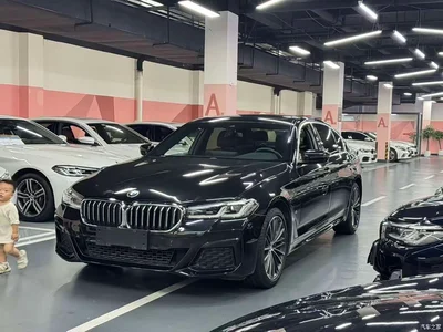 2021 BMW 5 Series 530Li Leading M Sport Package, фото 1, лот 11197202