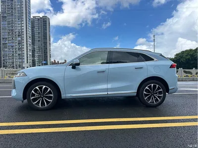 2021 WEY Mocha 2.0T 2WD Premium Edition, фото 4, лот 11152184