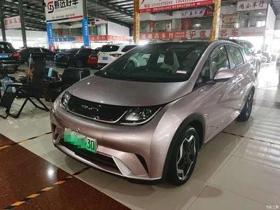 2021 BYD Dolphin Model 405km Fashion Edition, фото 1, лот 10257026